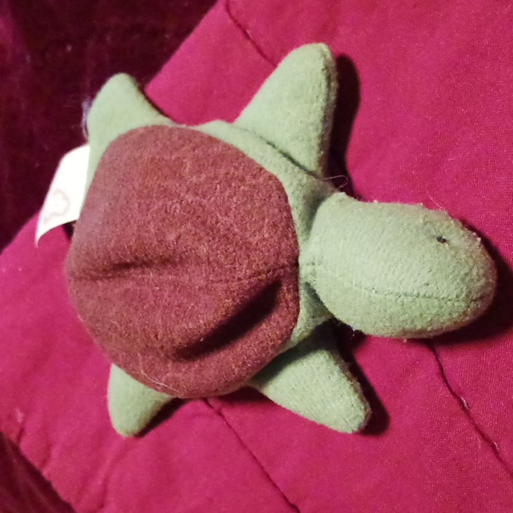 A 1994 speedy mini beanie baby